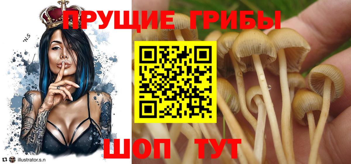 Галлюциногенные грибы прущие грибы Рузаевка