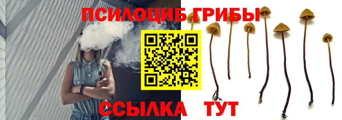 Псилоцибиновые грибы мухоморы  Вход с VPN  Рузаевка 